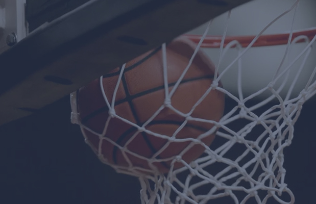 Sports Netting