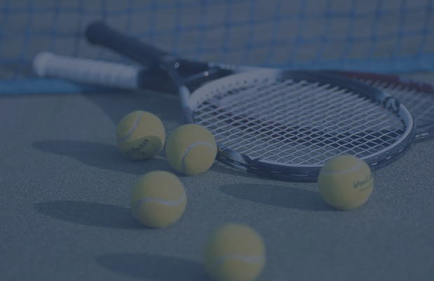 Ball net bag